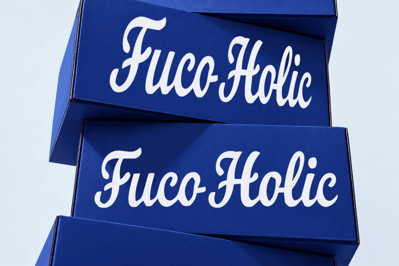 Fuco Holic 정기배송 박스